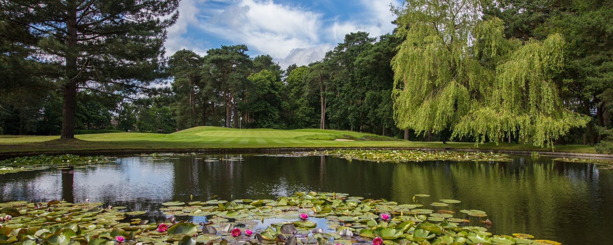Membership Home Membership at Camberley Heath Golf Club Membership Home Membership at Camberley Heath Golf Club